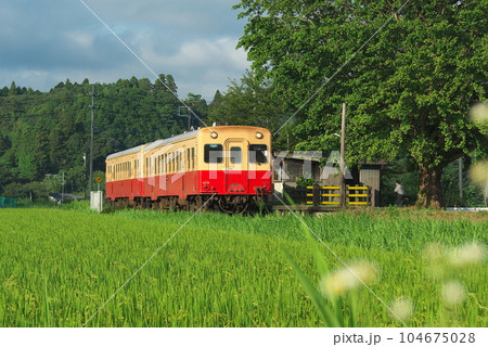 田園の中のディーゼル列車 田園の中のディーゼル列車 104675028