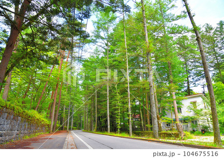 三笠通り(長野県軽井沢町)【2023.7】 104675516