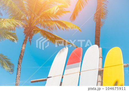 Surfboards beside coconut trees at summer beach with sun light and blue sky background. Surfboards beside coconut trees at summer beach with sun light and blue sky background. 104675911