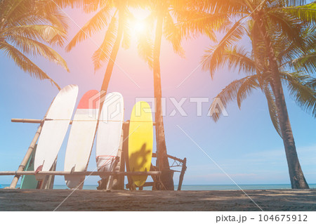 Surfboards beside coconut trees at summer beach with sun light and blue sky background. Surfboards beside coconut trees at summer beach with sun light and blue sky background. 104675912