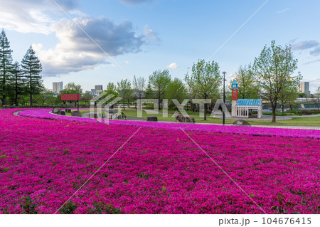 ミササガパーク 猿渡公園 刈谷市 ミササガパーク 猿渡公園 刈谷市 104676415