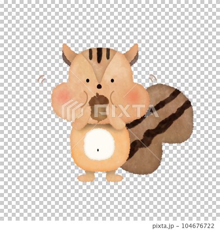 一隻吃橡子的松鼠 一隻吃橡子的松鼠 104676722