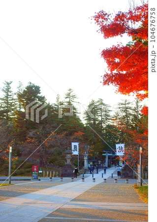 松が岬公園 紅葉 黄葉 松が岬公園 紅葉 黄葉 104676758