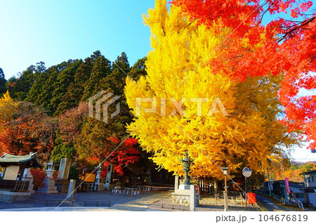 熊野大社 南陽市 紅葉 黄葉 熊野大社 南陽市 紅葉 黄葉 104676819