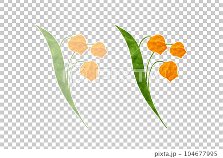 雷霆索尼婭 104677995