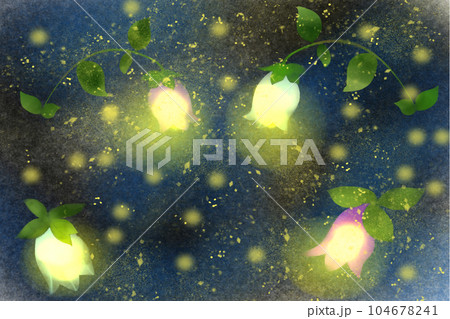 蛍袋の花のカード5 104678241