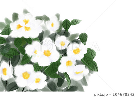 梅花空木の花のカード1 104678242