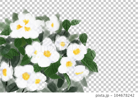 梅花空木の花のカード1 104678242