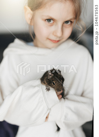 Little girl playing with small animal degu squirrel. 104678563