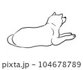 伏せてご主人をのんびり待っている秋田犬　白 104678789