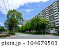 青空と青々した街路樹が魅力的なマンション 104679503