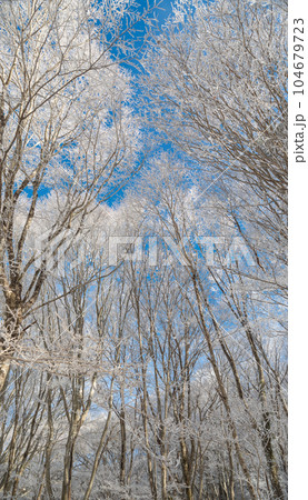 冬の景色　霧氷 104679723
