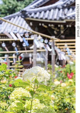 奈良　おふさ観音　風鈴まつり 104680263