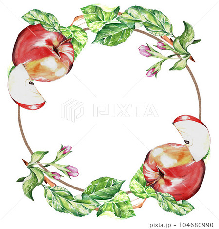 watercolor set. a red, juicy, ripe apple. for the design of postcards, packages watercolor set. a red, juicy, ripe apple. for the design of postcards, packages 104680990