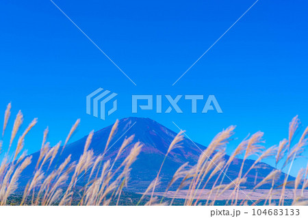 【富士山素材】快晴の山中湖パノラマ台から見る富士山とススキ【山梨県】 【富士山素材】快晴の山中湖パノラマ台から見る富士山とススキ【山梨県】 104683133