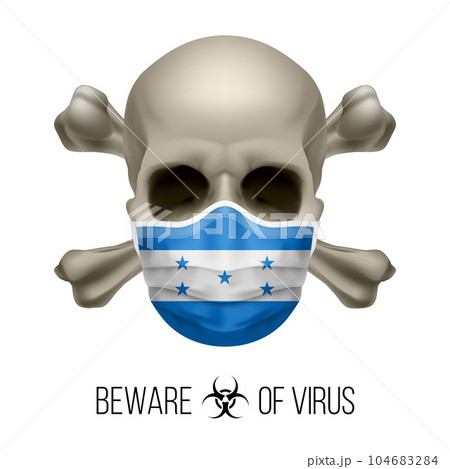 Human Skull 104683284