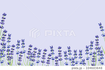 Watercolor banner with lavender illustration isolated on white background. Detail of beauty products and botany set, cosmetology and medicine. For designers, spa decoration, postcards, wrapping paper, 104683648