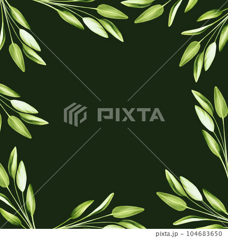 Watercolor frame with fresh sage isolated on background. Detail of beauty products and botany set, cosmetology and medicine. For designers, spa decoration, postcards, wrapping paper, scrapbooking, Watercolor frame with fresh sage isolated on background. Detail of beauty products and botany set, cosmetology and medicine. For designers, spa decoration, postcards, wrapping paper, scrapbooking, 104683650