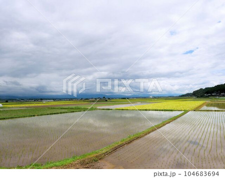 山鹿市鹿央町の田園風景 104683694
