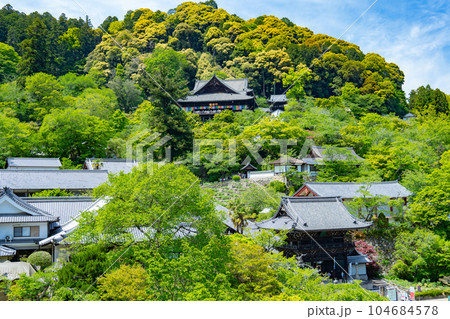 奈良県桜井市 緑の中の長谷寺 奈良県桜井市 緑の中の長谷寺 104684578