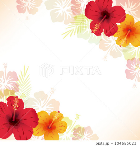 ハイビスカスの背景 104685023