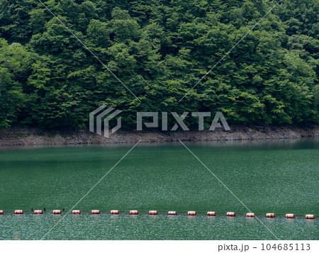 水辺の風景　山梨県広瀬湖の風景 104685113