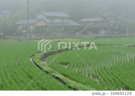田園風景 104685128