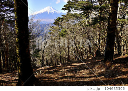 道志山塊の御正体山　峰宮跡展望台から望む富士山 104685506