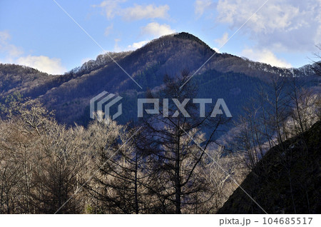 道志山塊の御正体山より岩下ノ丸を望む 104685517