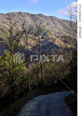 道志山塊の御正体山　菅野林道より赤岩と今倉山を望む 104685522
