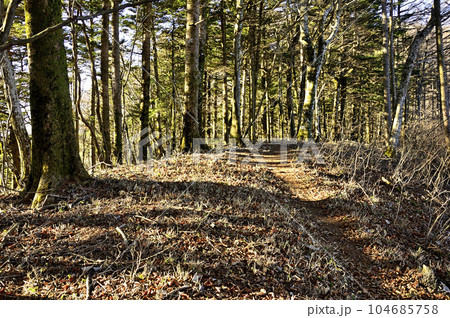 道志山塊の御正体山北東尾根 カヤノ沢山山頂 道志山塊の御正体山北東尾根 カヤノ沢山山頂 104685758