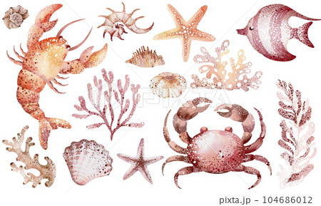 marine seamless border of underwater marine animals and plants octopus, seahorses, crabs, starfish, jellyfish. Marine inhabitants of the underwater world. Sea border isolated on white background marine seamless border of underwater marine animals and plants octopus, seahorses, crabs, starfish, jellyfish. Marine inhabitants of the underwater world. Sea border isolated on white background 104686012