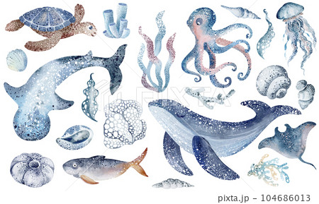 marine seamless border of underwater marine animals and plants octopus, seahorses, crabs, starfish, jellyfish. Marine inhabitants of the underwater world. Sea border isolated on white background 104686013