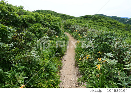 二王子岳 104686164