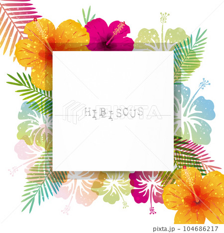 ハイビスカスの背景 104686217