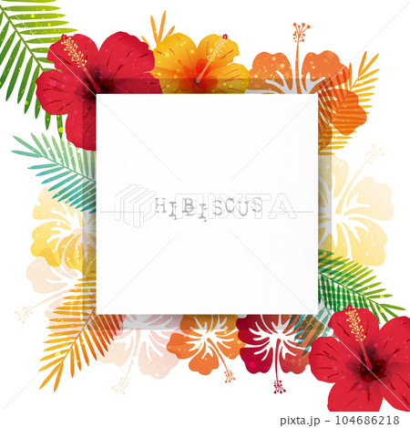 ハイビスカスの背景 104686218