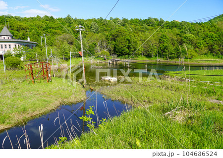 西山火口風致公園・西山山麓火口散策路 西山火口風致公園・西山山麓火口散策路 104686524