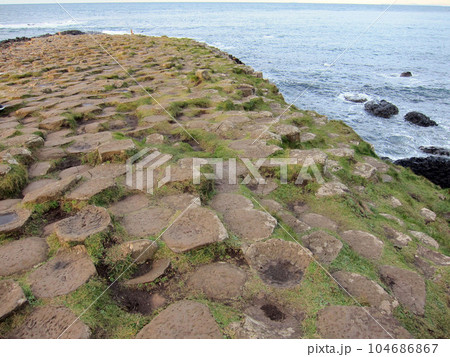 北アイルランド　ジャイアンツ・コーズウェイ8 104686867