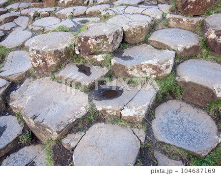 北アイルランド　ジャイアンツ・コーズウェイ15 104687169