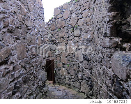 北アイルランド　ダンルース城8 104687235