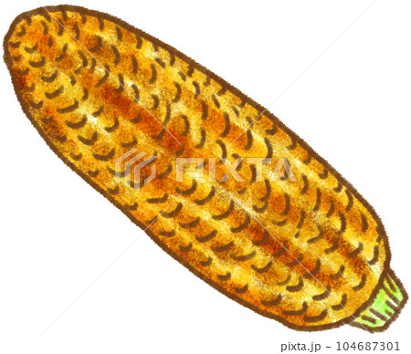 お祭り屋台グルメ_焼きとうもろこし 104687301