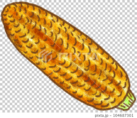 お祭り屋台グルメ_焼きとうもろこし 104687301