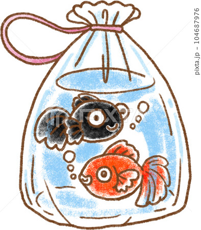 金魚すくいのお持ち帰りビニール袋に入った二匹の金魚 104687976