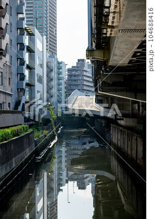 東京都　港区　三田　麻布　赤羽橋　夏　午前　昼　観光　旅行　サラリーマン　高層ビル　芝公園　ビジネス 104688416