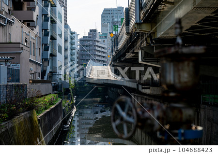 東京都　港区　三田　麻布　赤羽橋　夏　午前　昼　観光　旅行　サラリーマン　高層ビル　芝公園　ビジネス 104688423