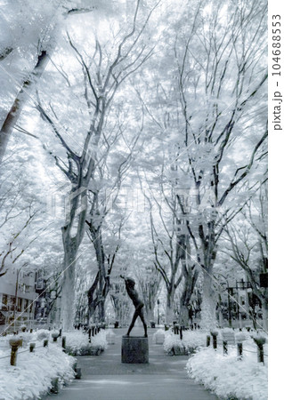 仙台定禅寺通り_2023年_赤外線写真 仙台定禅寺通り_2023年_赤外線写真 104688553