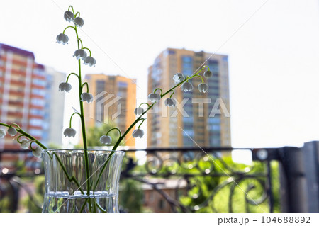 Lily of the valley, white flowers in a glass, close up photo 104688892
