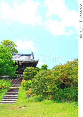 安城市、大乗寺山門の風景 安城市、大乗寺山門の風景 104688972
