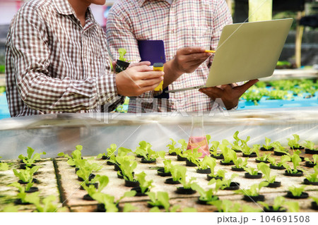 Smart agriculture technology concept - Farmer ckecking water ph value of organic hydroponic red oak in plant nursery farm. Smart agriculture 104691508