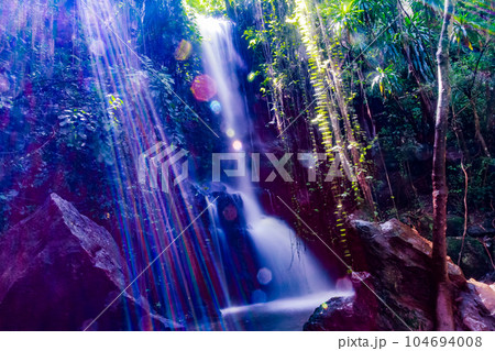 waterfall in tropical forest Paradise Lost Waterfall Picnic Recreational Site In Kiambu County waterfall in tropical forest Paradise Lost Waterfall Picnic Recreational Site In Kiambu County 104694008